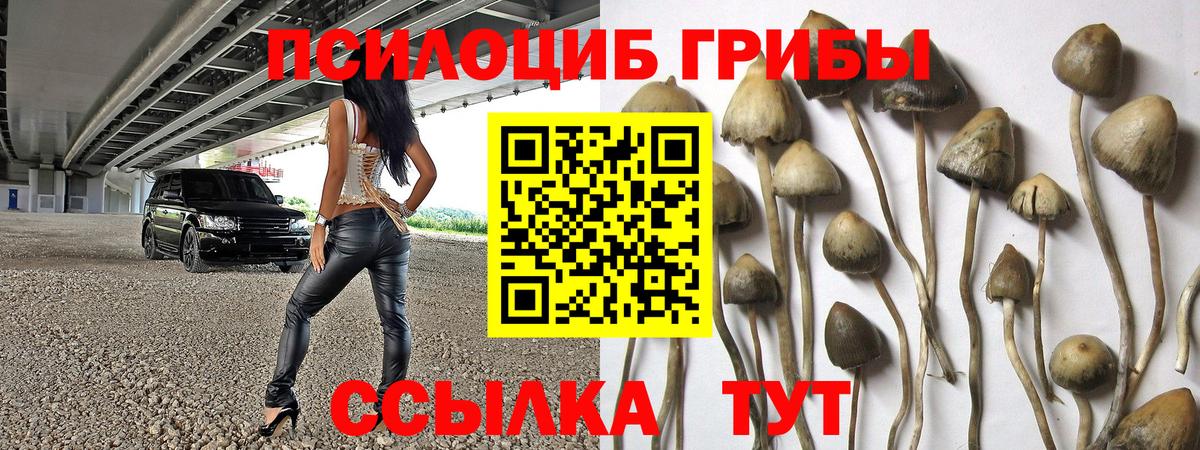 Галлюциногенные грибы Psilocybine cubensis  Псилоцибиновые грибы мицелий  Кингисепп  Вход с VPN 