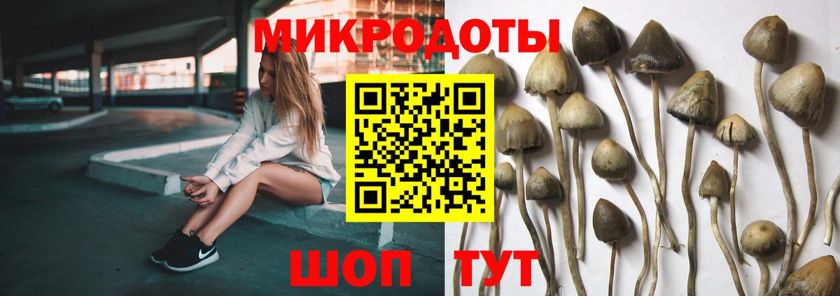 Галлюциногенные грибы Magic Shrooms Кингисепп